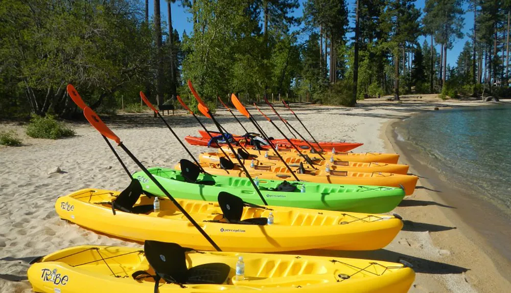 A row of colorful kayaks with paddles is lined up on a sandy beach beside a clear blue water body ready for an aquatic adventure