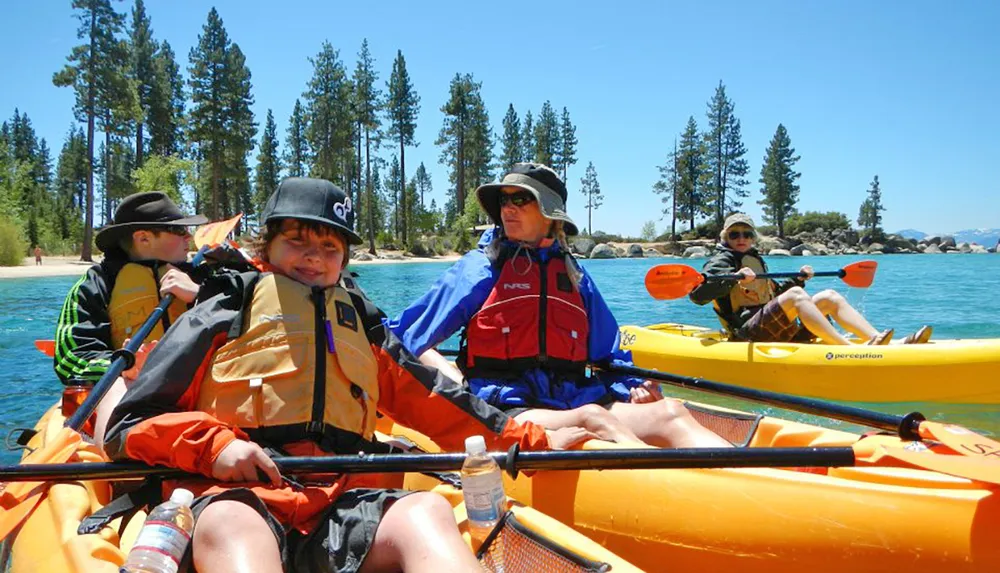 A group of people are enjoying a sunny day kayaking on a clear blue water body surrounded by a forested area