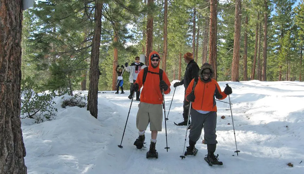 A group of people are snowshoeing through a snowy forest enjoying a sunny day outdoors