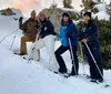 Four individuals are posing with smiles and trekking poles on a snow-covered slope during what appears to be a winter hiking excursion