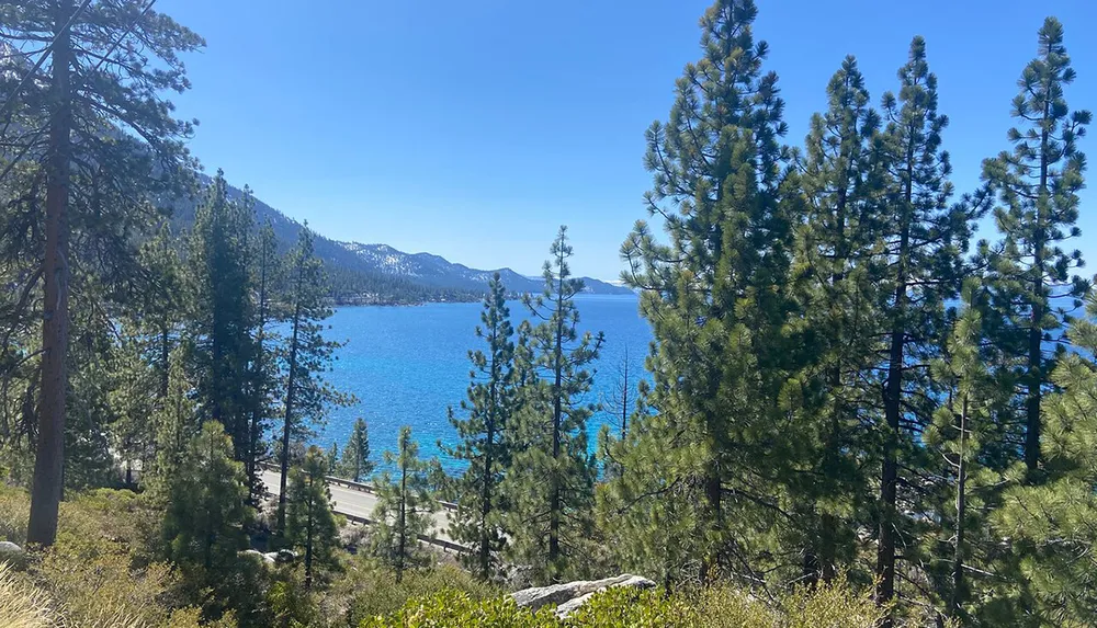 The image depicts a serene view of a vivid blue lake surrounded by lush green pine trees and mountains under a clear sky