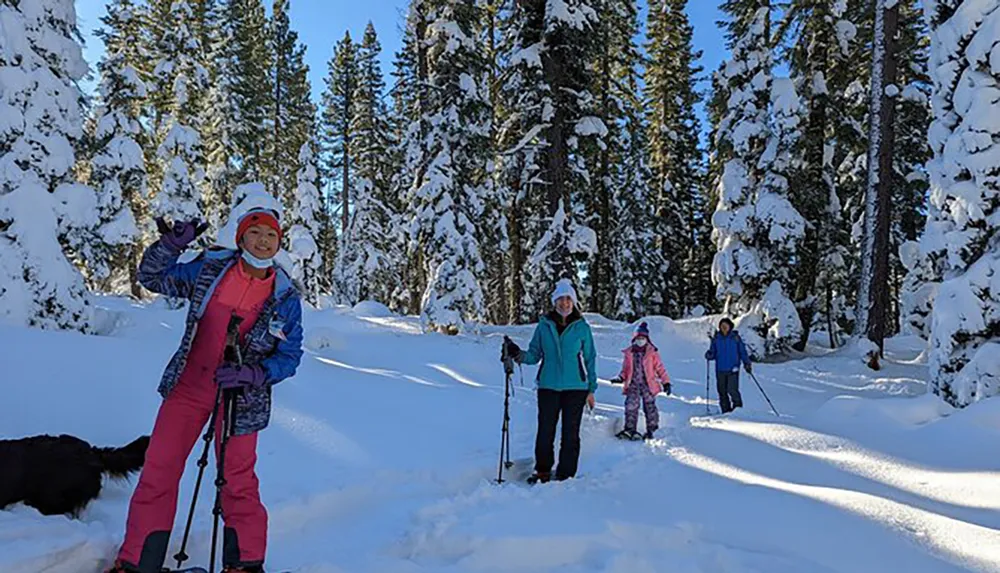 A group of people including children are standing amidst snow-covered trees apparently enjoying a day of winter outdoor activities