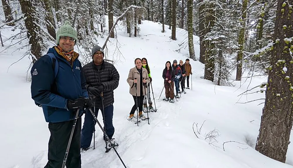 A group of people are enjoying snowshoeing through a snowy forest landscape