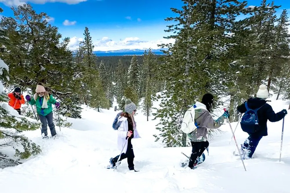 A group of people is snowshoeing through a snowy forest with a scenic view of a lake and mountains in the distance