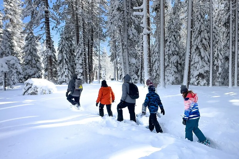 A group of people including children are walking through a snowy forest on a bright sunny day