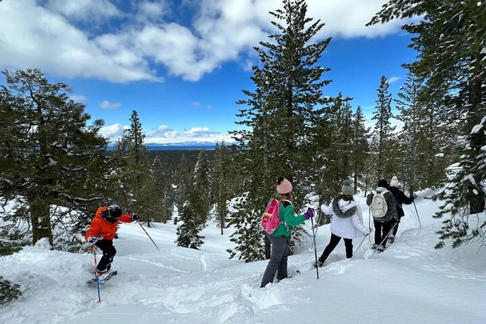 A group of people are skiing and snowshoeing through a snow-covered forest with a clear view of a distant landscape under a partly cloudy sky