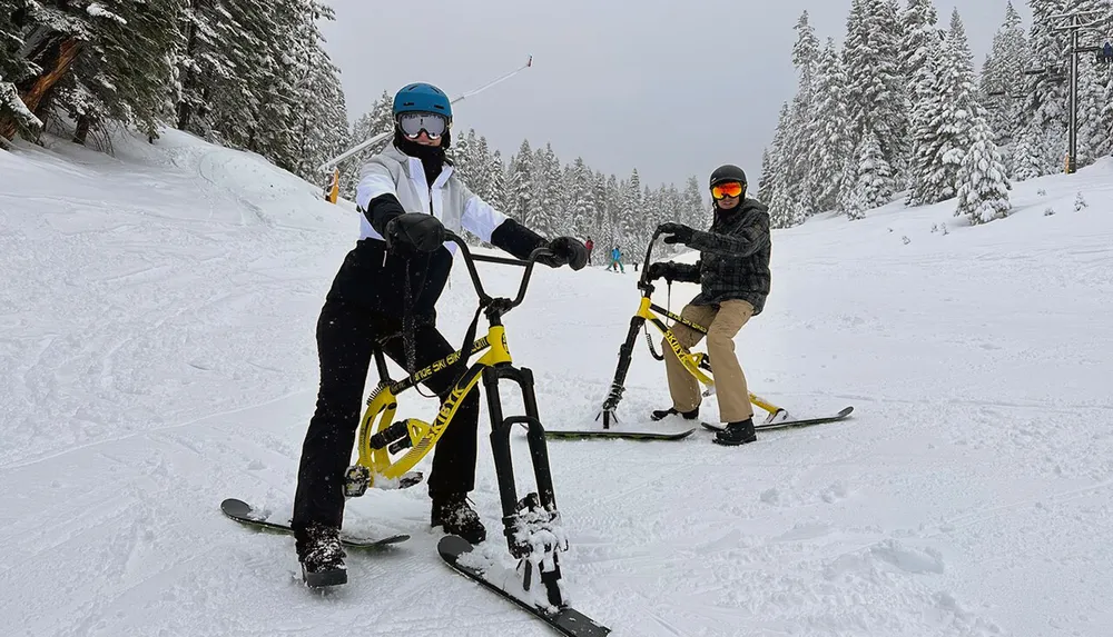Two people are having fun riding snow bikes down a snowy mountain slope