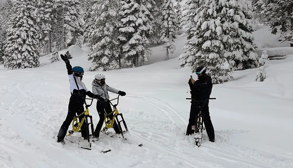 Two individuals are riding snow bikes while another takes their photograph in a snowy forested landscape
