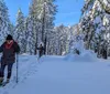 Two people are snowshoeing through a picturesque snowy forest under a clear blue sky