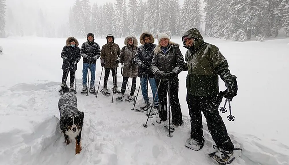 A group of people along with a dog covered in snowflakes is standing in a snowy landscape presumably enjoying some winter activity together