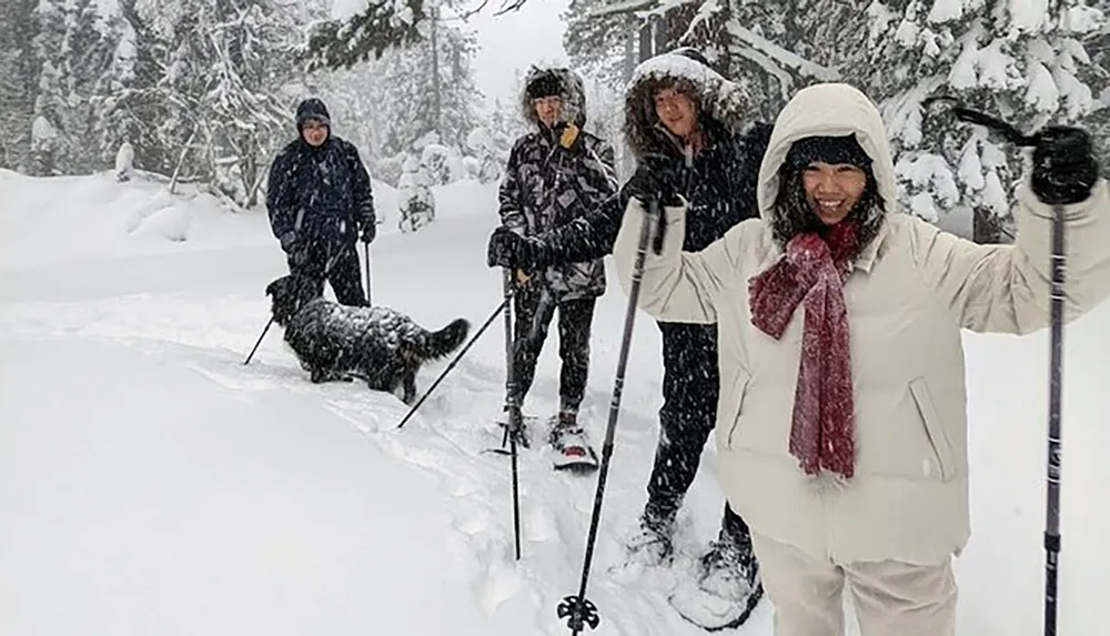 A group of people and a dog are enjoying a snowy outdoor scene with some members holding ski poles indicating they might be on a winter adventure
