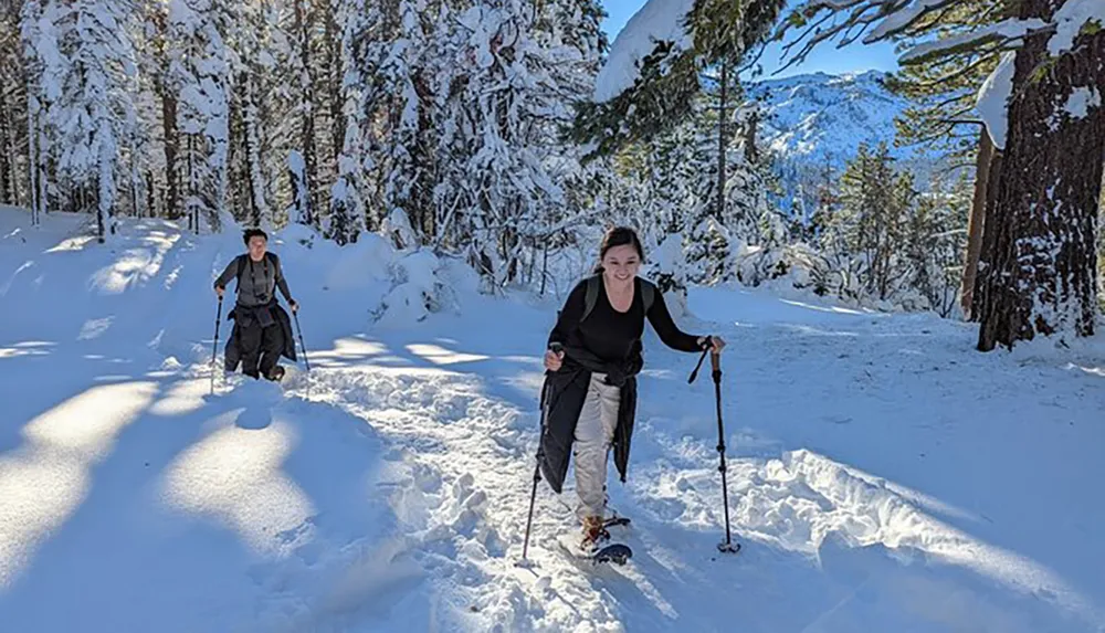 Two people are snowshoeing in a snowy forest with a clear blue sky and mountain scenery in the background