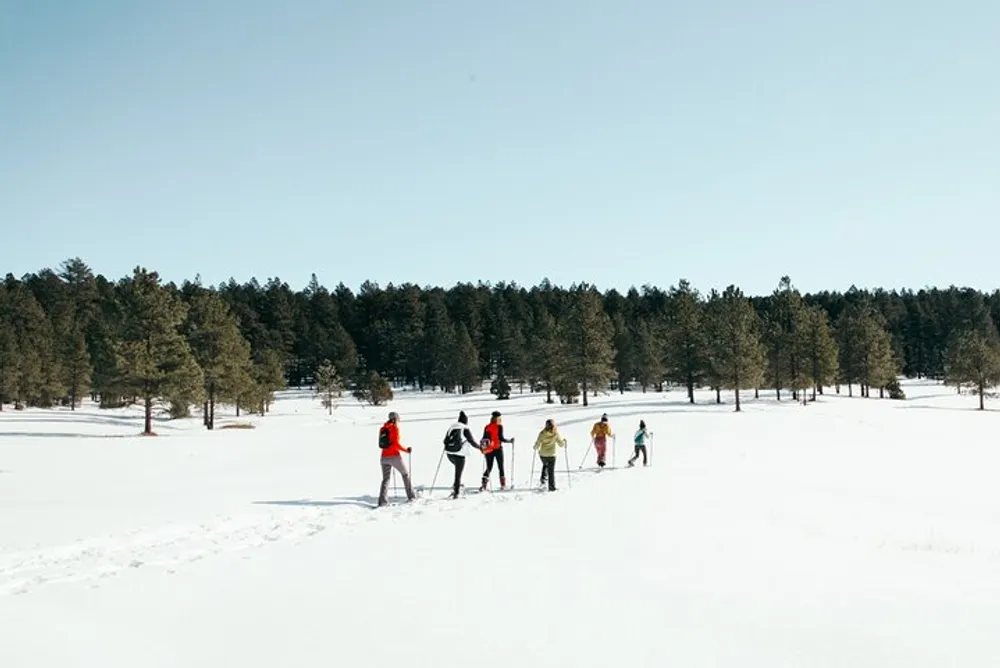A group of people is cross-country skiing across a snowy landscape dotted with trees under a clear blue sky
