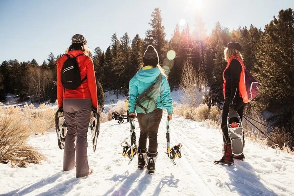 Three people with snowshoes are walking through a snowy trail amidst a forested area basking in the sunlight