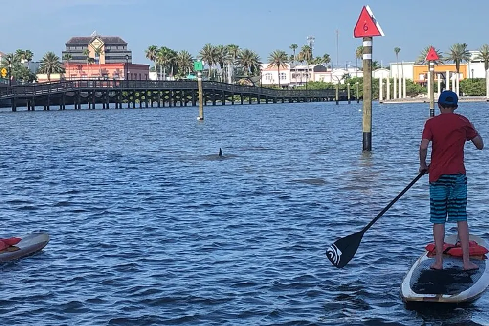 A person is paddleboarding on a calm water body with a dolphin fin visible in the distance and a wooden bridge and buildings in the background