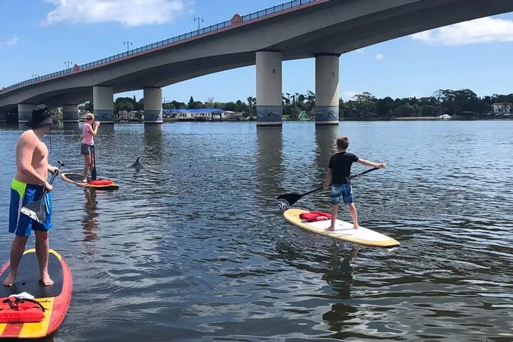 Three people are stand-up paddleboarding on a calm body of water with a bridge in the background on a sunny day