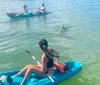 Three people are kayaking in clear water while a dolphin jumps nearby
