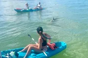 Three people are kayaking in clear water while a dolphin jumps nearby.