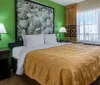 This image shows a neatly arranged hotel room with a large bed green walls adorned with seashell decor and a window with semi-sheer curtains