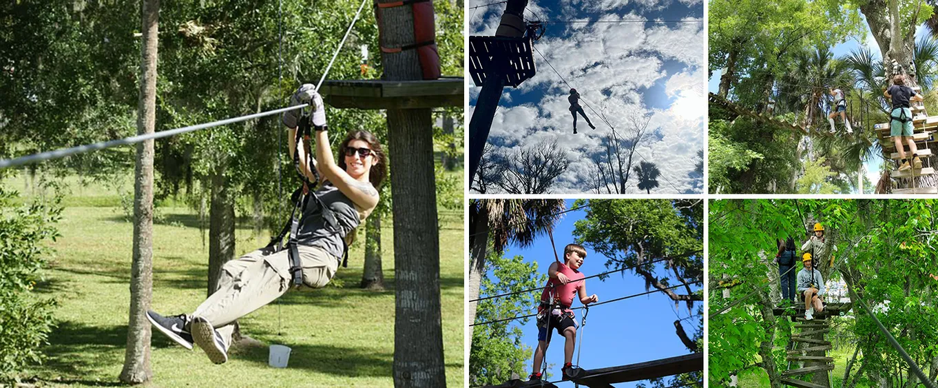 Zipline Adventure Through Tuscawilla Park, Full Combo - Course 1 & Course 2