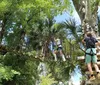 A person is enjoying a zipline adventure in a lush green park
