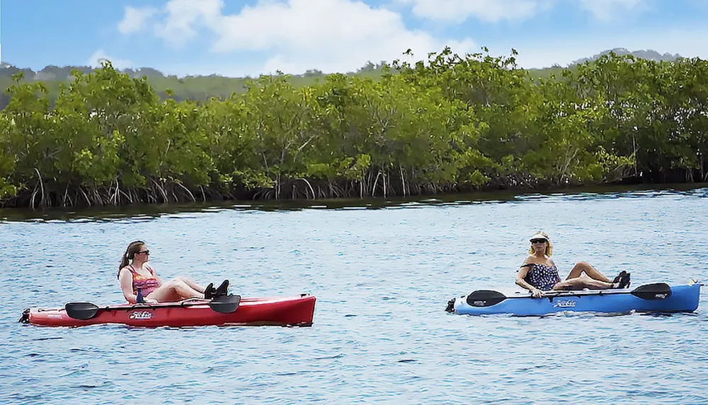Two people are leisurely kayaking on a calm body of water with dense green foliage in the background
