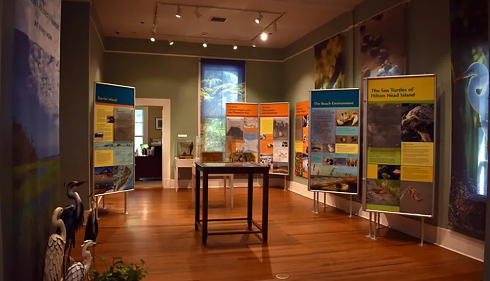The image shows an educational exhibit in a museum with informational panels about the natural environment including topics like sea turtles and beach ecosystems