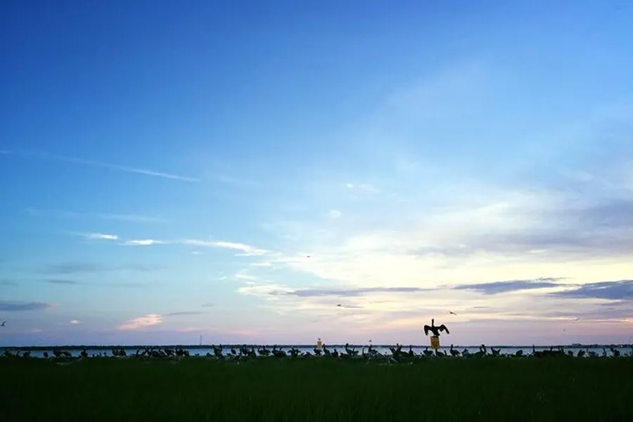 The image features a twilight sky over a grassy field where a person is leaping into the air amidst a flock of birds.