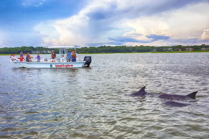 Two Hour Dolphin Encounter Photo