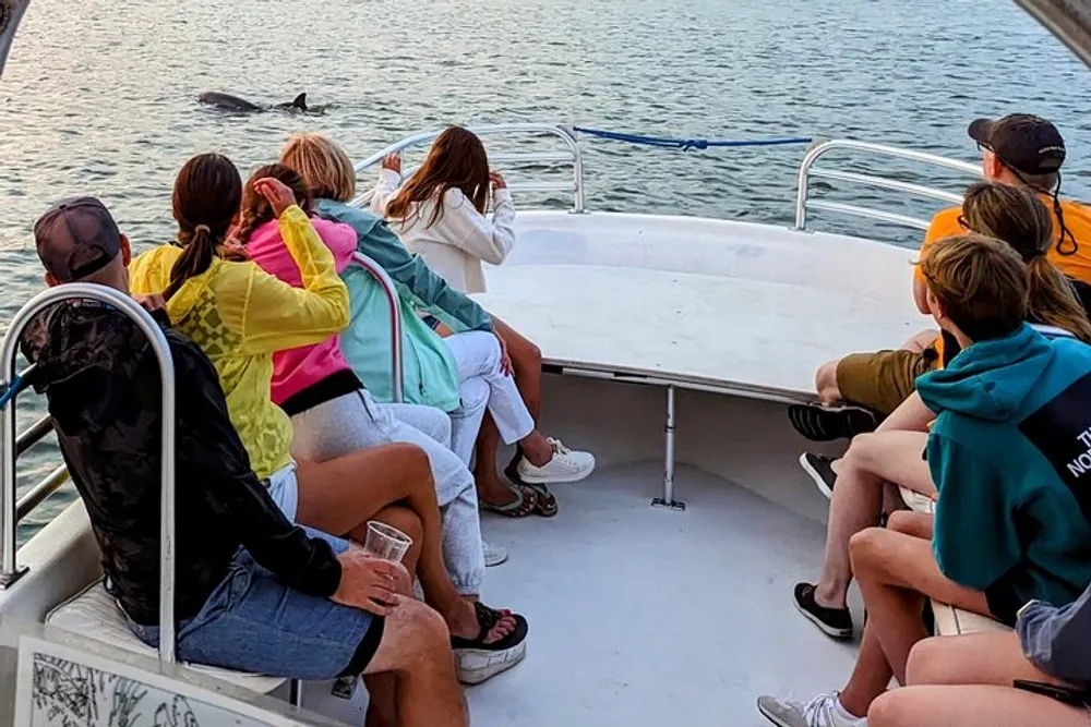 A group of people on a boat are looking at a dolphin leaping out of the water nearby