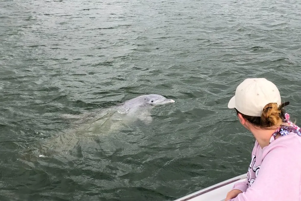 A person on a boat is looking at a dolphin peeking out of the water nearby