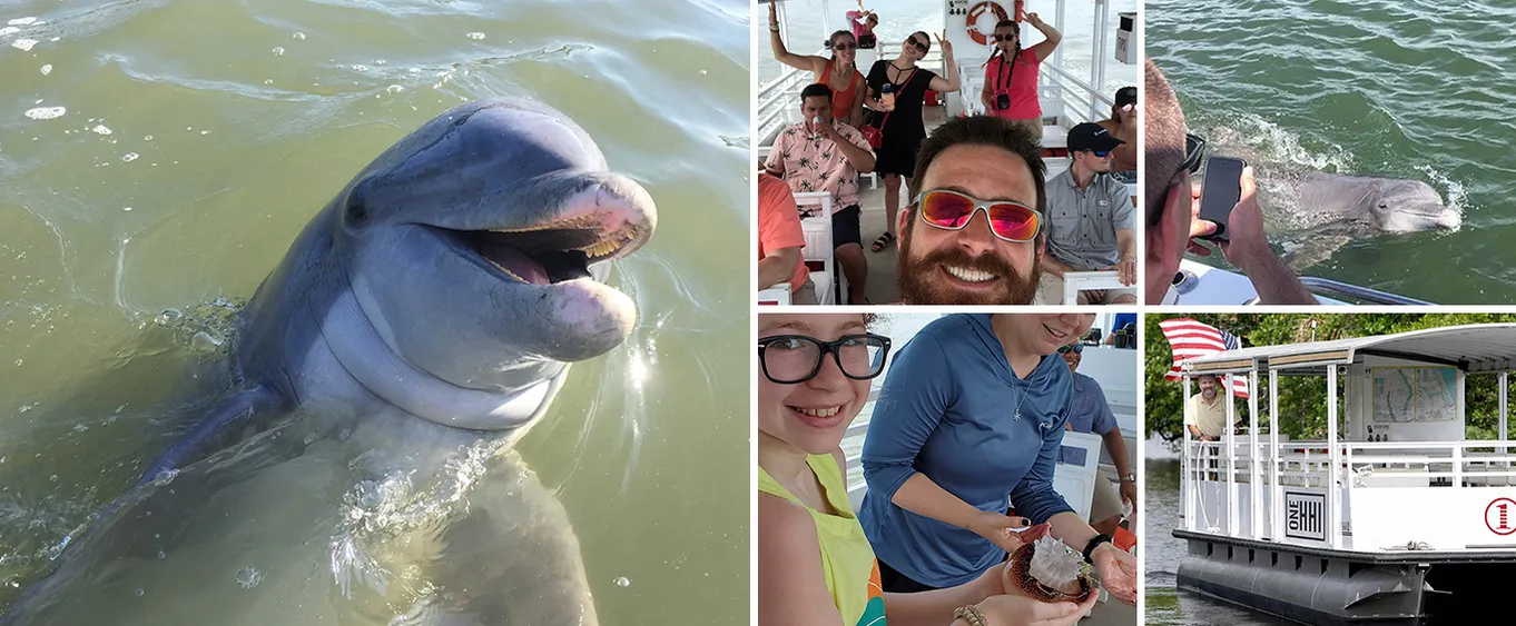 Hilton Head Island SC Dolphin Tour