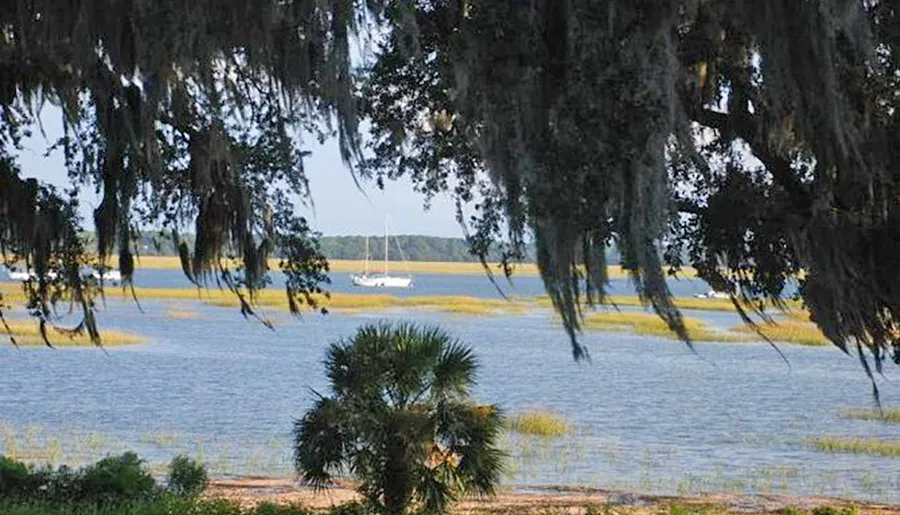 A serene coastal scene with Spanish moss draping from trees, overlooking a marsh with a sailboat in the distance.