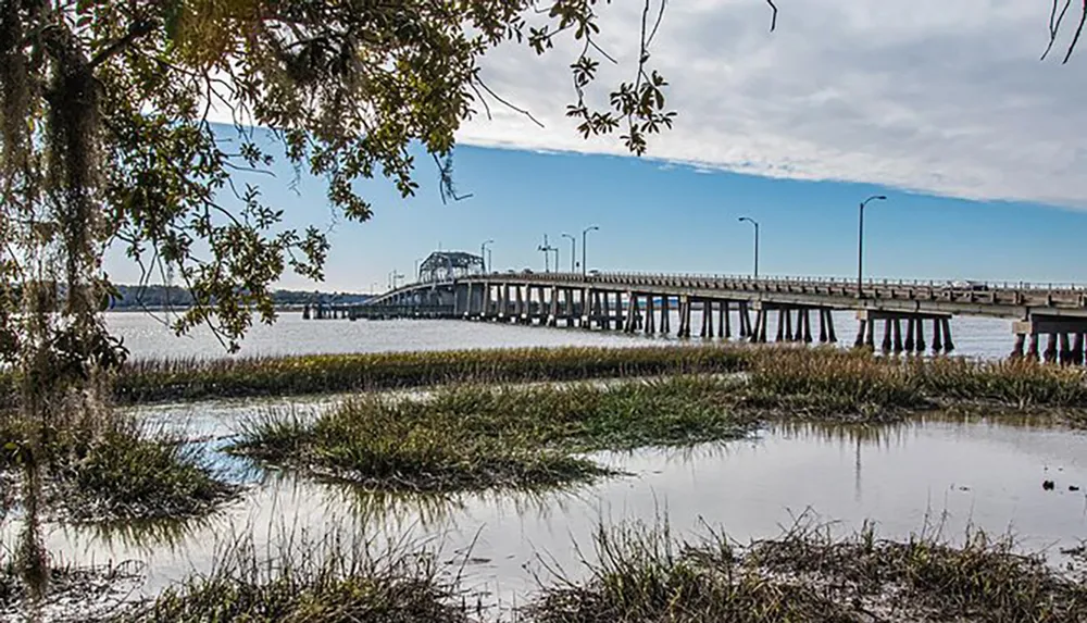 A long bridge spans a body of water with marshy foreground and Spanish moss-draped trees framing the view