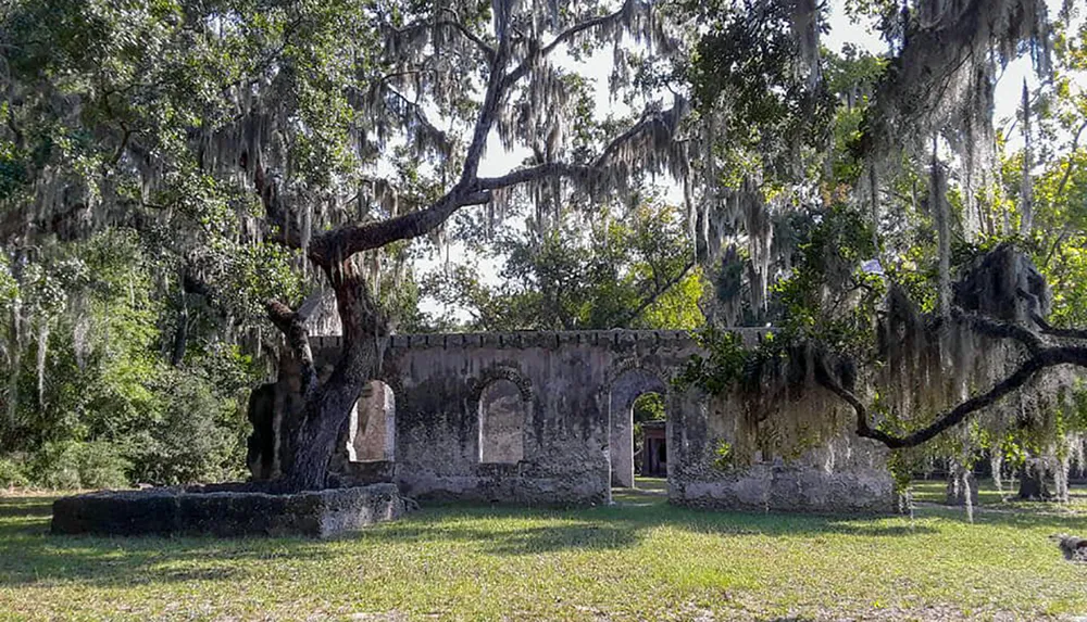 An old weathered stone structure with arched openings is shrouded by the drooping limbs of a moss-covered tree in a tranquil sunlit setting
