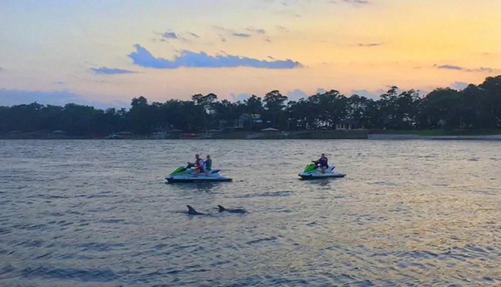 Two jet skis are gliding over the water near a dolphin with a colorful sunset in the background