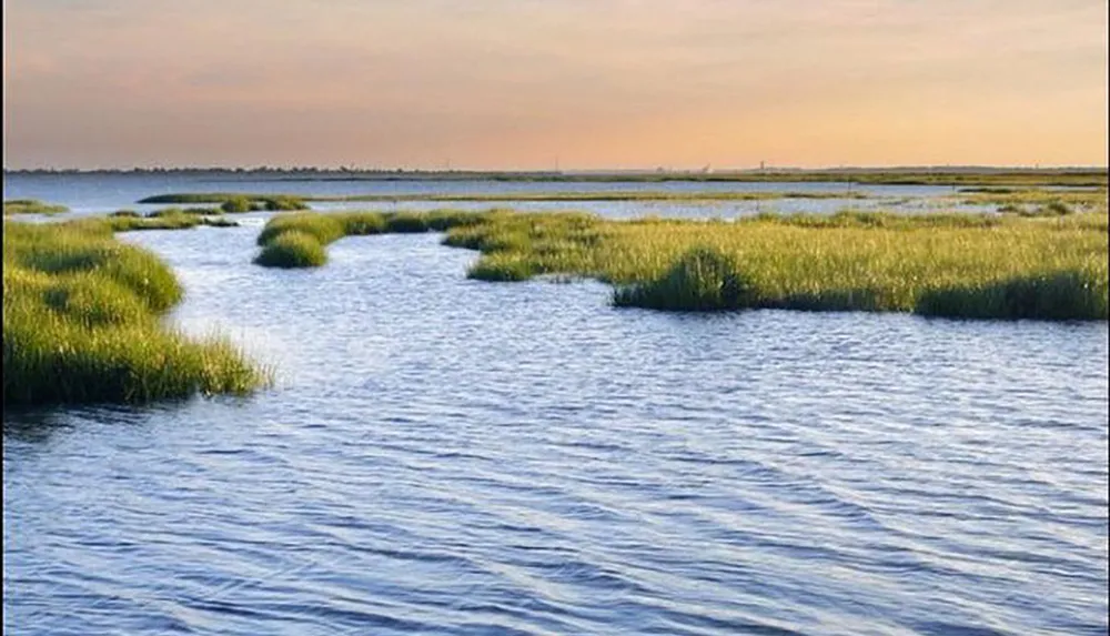 The image shows a serene coastal marsh landscape with winding water channels amidst tall grasses under a soft gradient sky