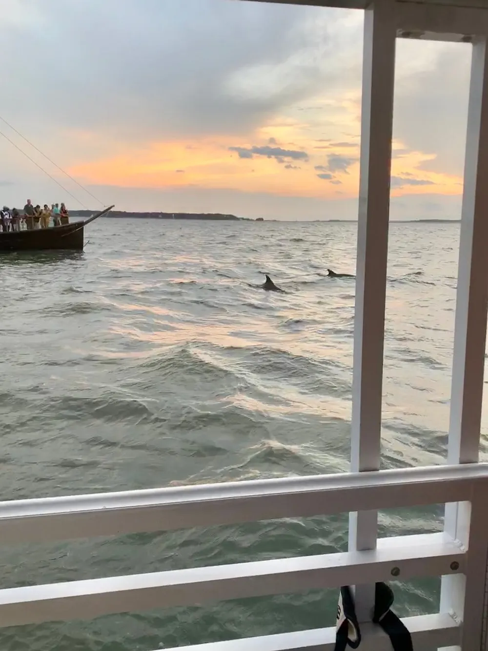 A dolphin is swimming near a group of people on a boat at sunset as viewed from a window with a white railing