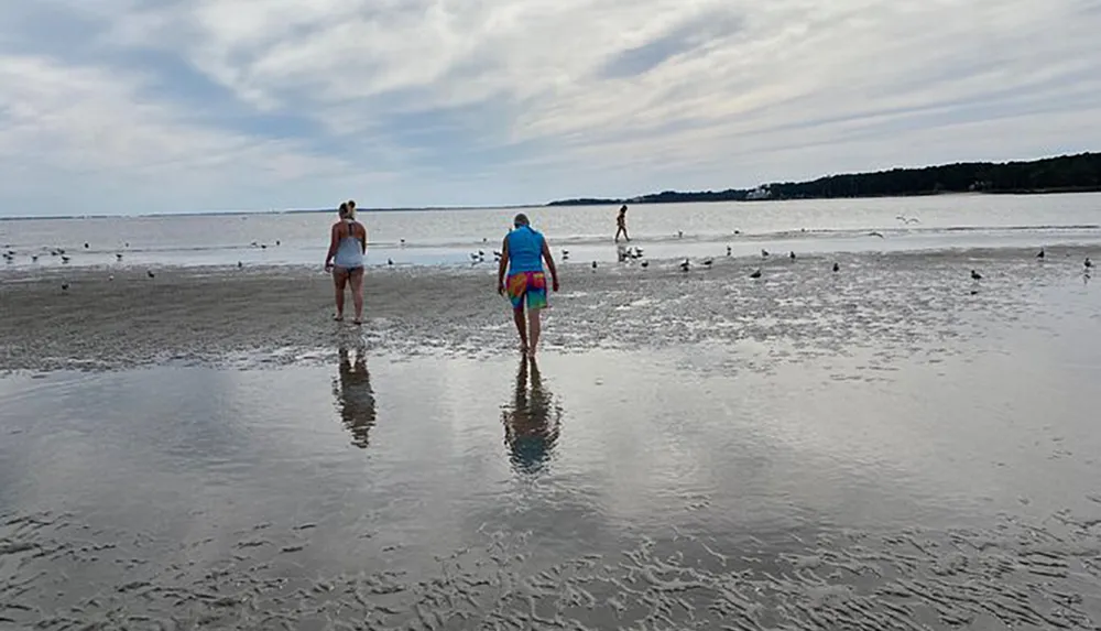 Two people walk towards the water on a cloudy day at the beach with birds scattered around and a reflection visible on the wet sand