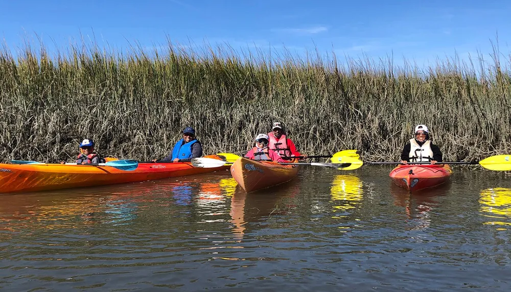 A group of people wearing life jackets are kayaking in calm waters surrounded by tall reeds under a clear blue sky