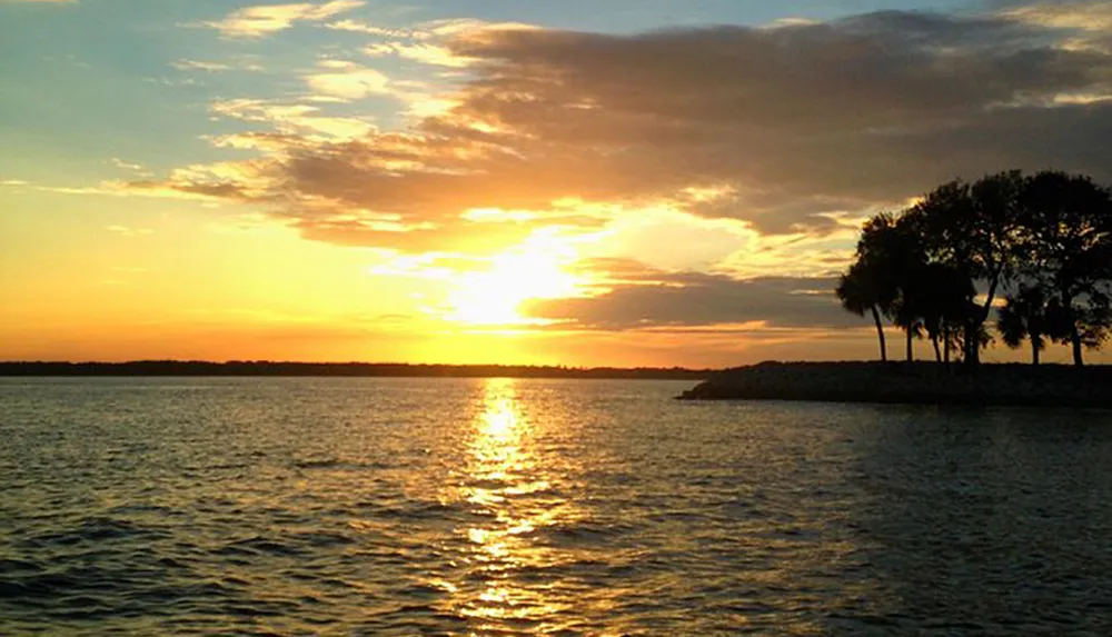 The image captures a serene sunset over a body of water with silhouetted trees on the right and the sun casting a golden reflection on the water
