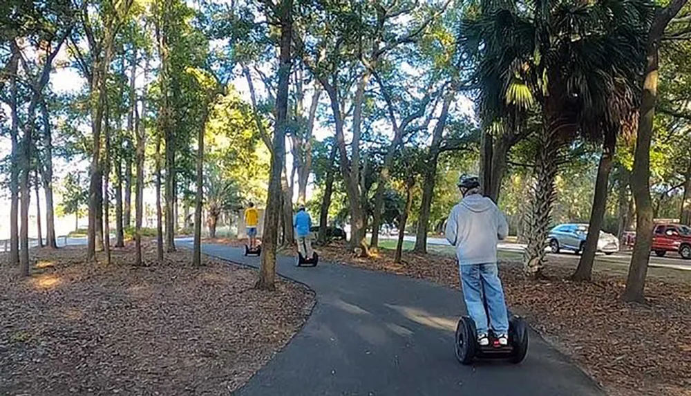 A group of people is riding Segways along a tree-lined path with one person leading the group and a vehicle visible on a nearby road