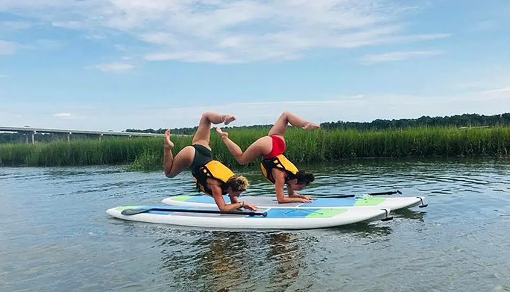 Two individuals are performing a synchronized headstand on paddleboards in a calm water setting surrounded by nature