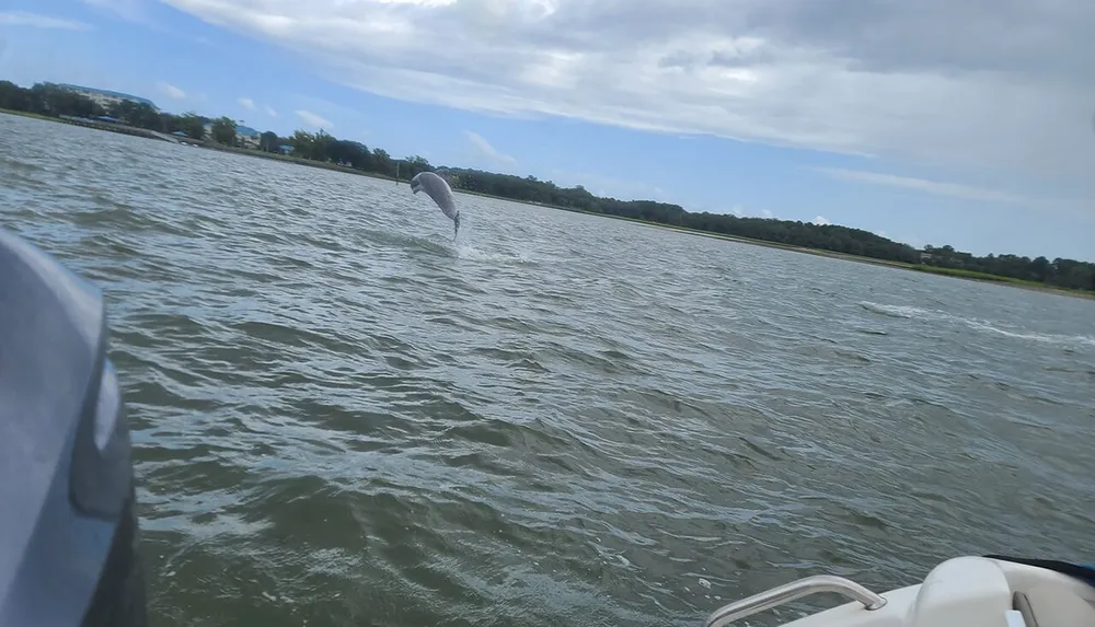 A dolphin is leaping out of the water near a boat on a choppy bay
