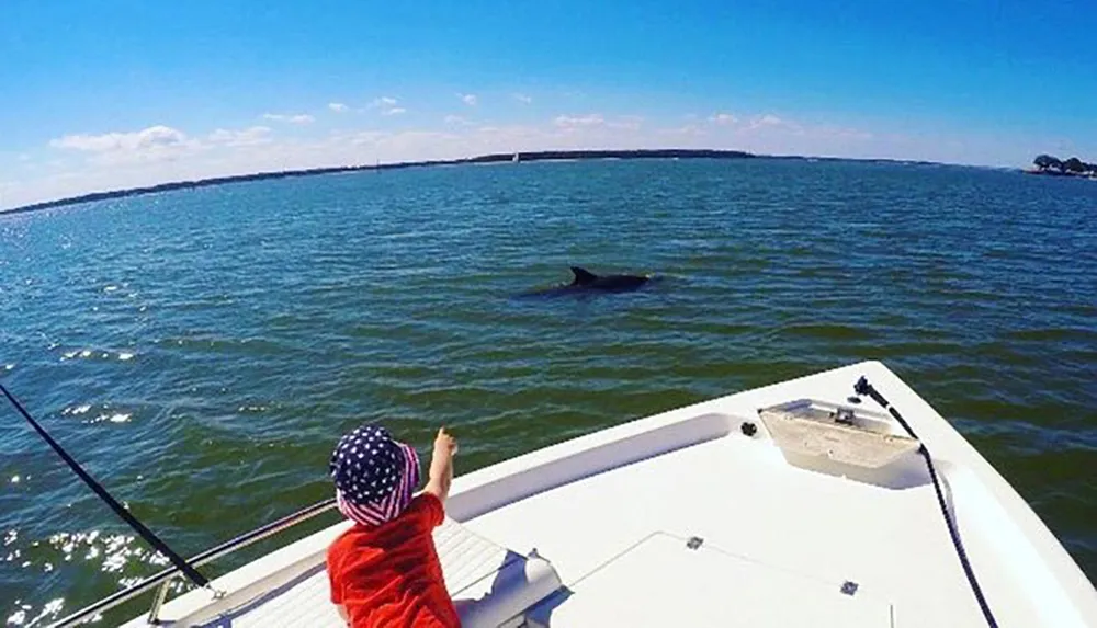 A child wearing a hat points towards a dolphin swimming near a boat on a sunny day