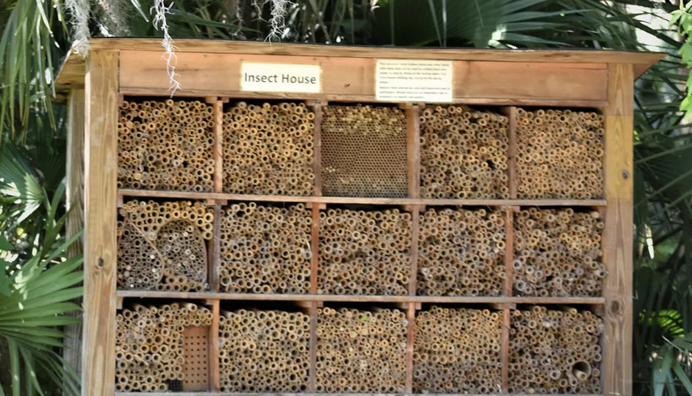 The image shows a large wooden insect house filled with numerous bamboo tubes to provide habitats for solitary bees and other beneficial insects