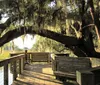 A tranquil wooden boardwalk framed by a majestic tree draped with Spanish moss basks in warm sunlight
