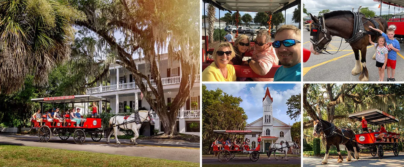 Beaufort’s #1 Horse & Carriage History Tour