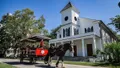 Beaufort’s #1 Horse & Carriage History Tour Photo