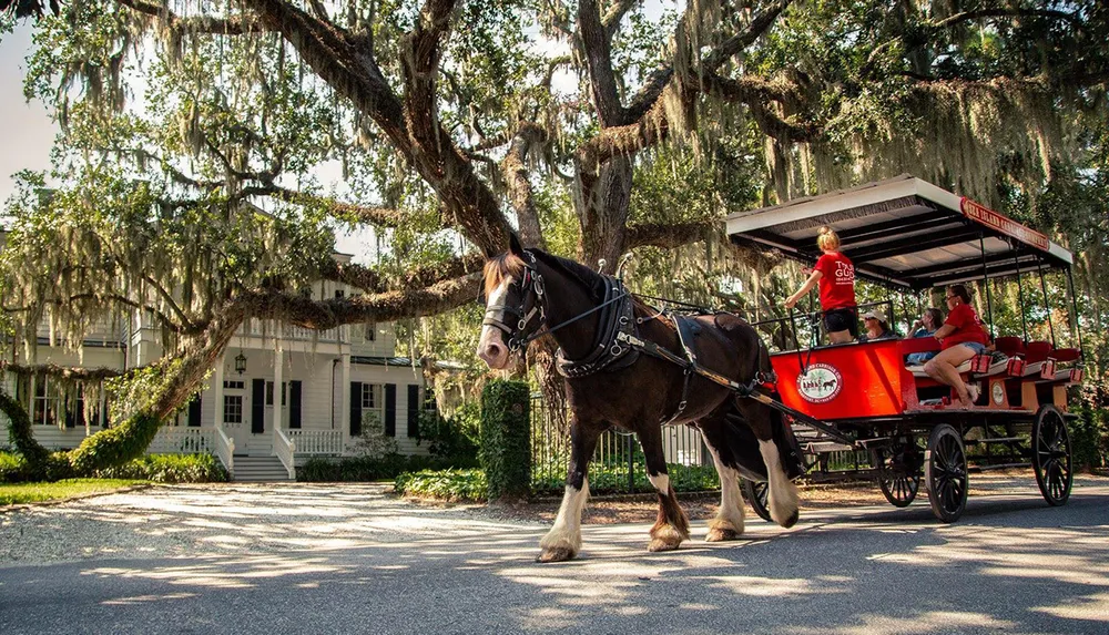 A horse is pulling a carriage with passengers along a tree-lined street in front of a classic house with Spanish moss-draped branches